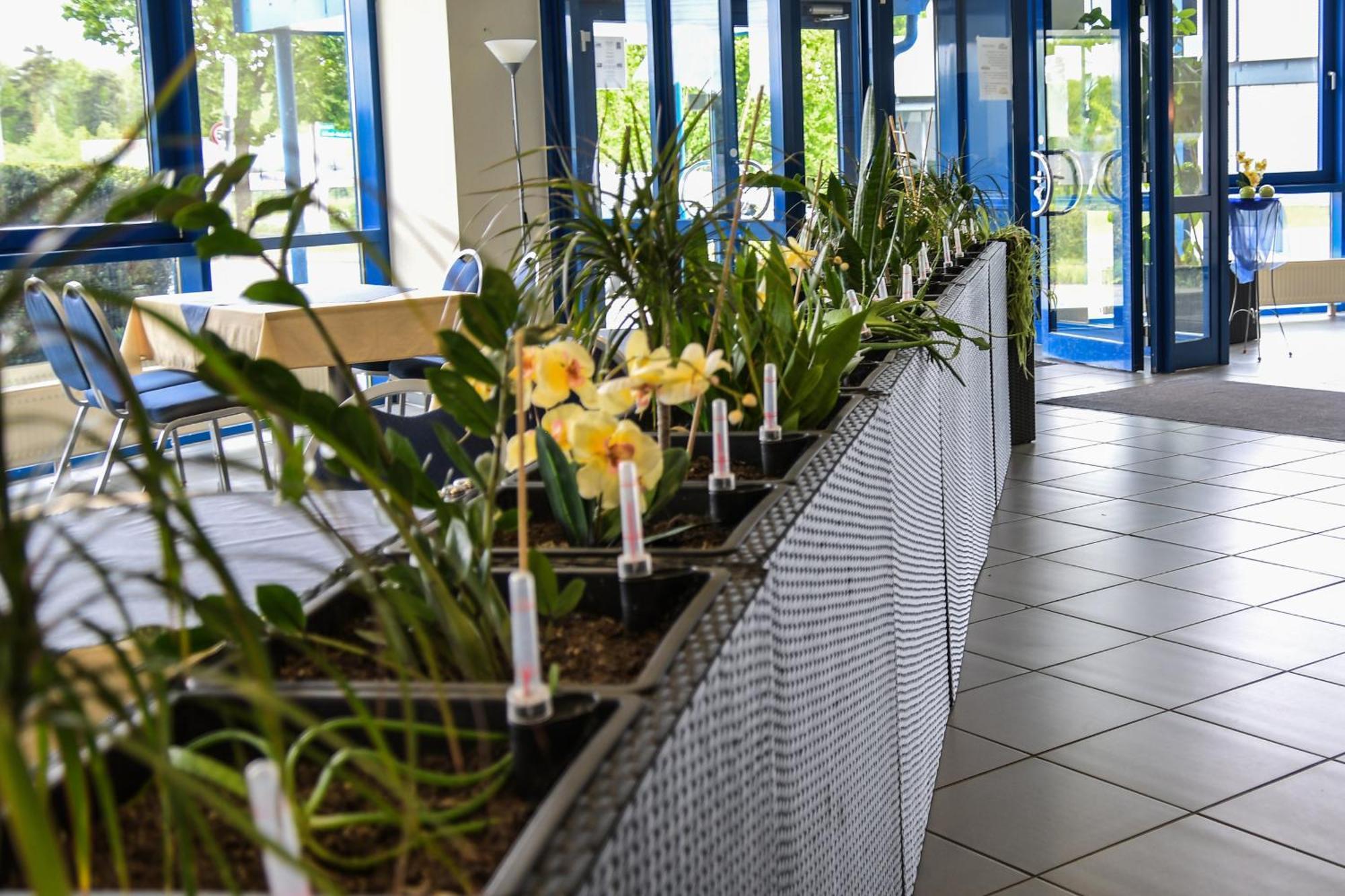 Central-Hotel Eberswalde מראה חיצוני תמונה